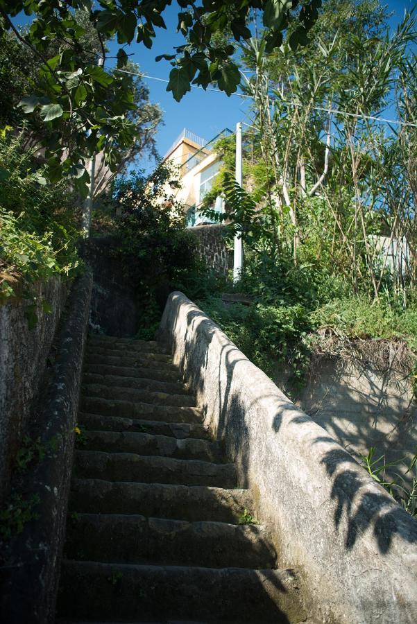 Punta Lingua Relais - Room 2 Sunset Terrace Procida Extérieur photo